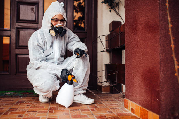 Reliable Ant Control contractor in Daytona Beach, FL by Nex Pest Control
