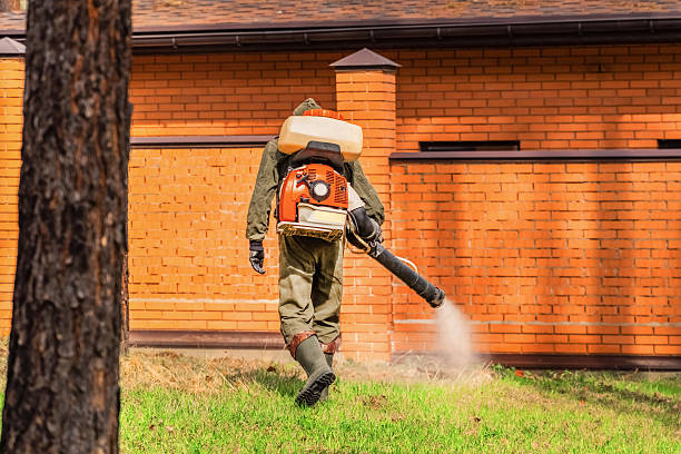 Trusted Ant Control service in Daytona Beach, FL - Nex Pest Control
